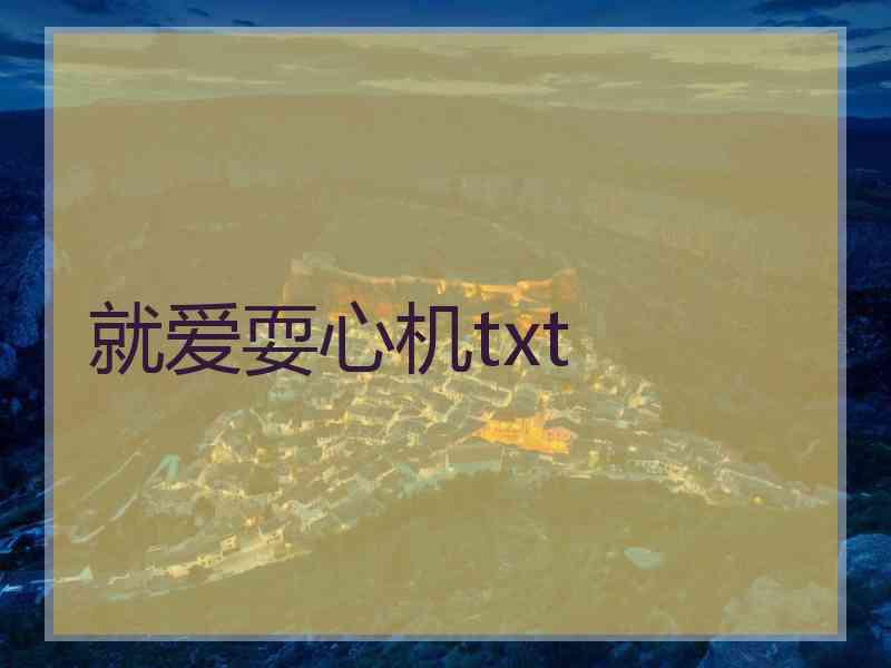 就爱耍心机txt