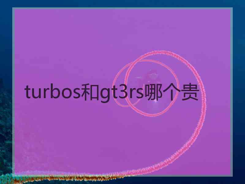 turbos和gt3rs哪个贵