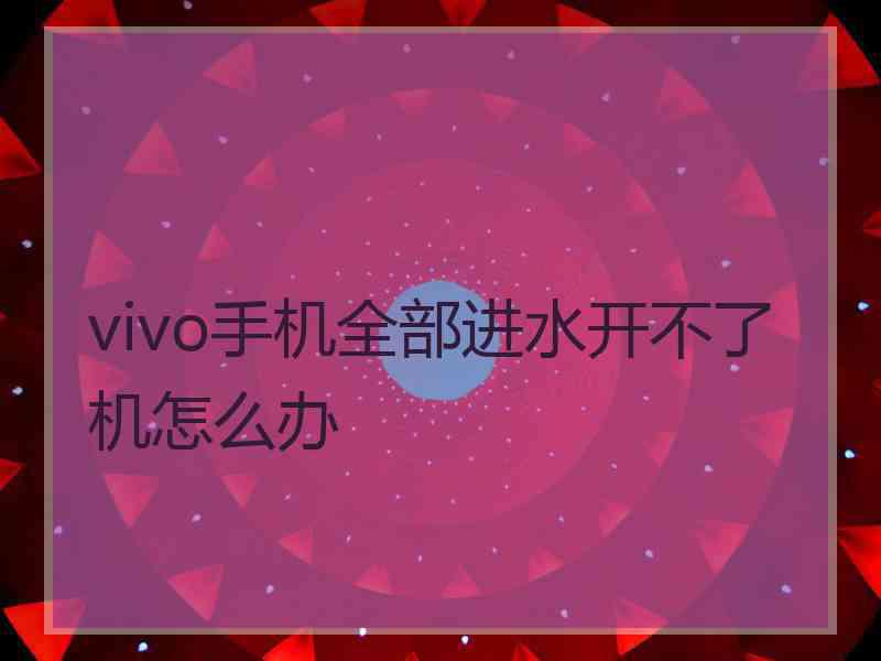 vivo手机全部进水开不了机怎么办