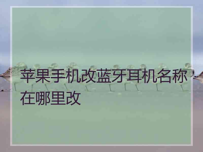 苹果手机改蓝牙耳机名称在哪里改