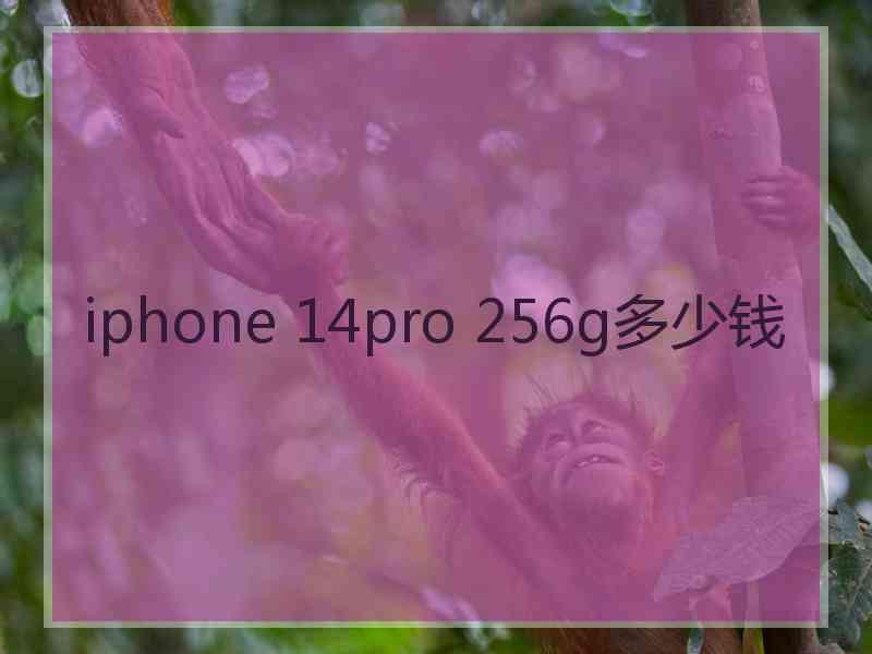 iphone 14pro 256g多少钱
