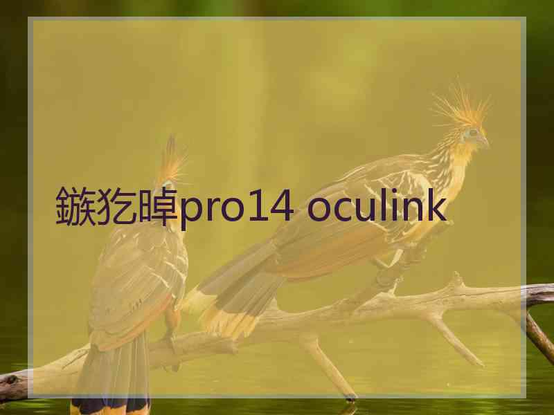 鏃犵晫pro14 oculink