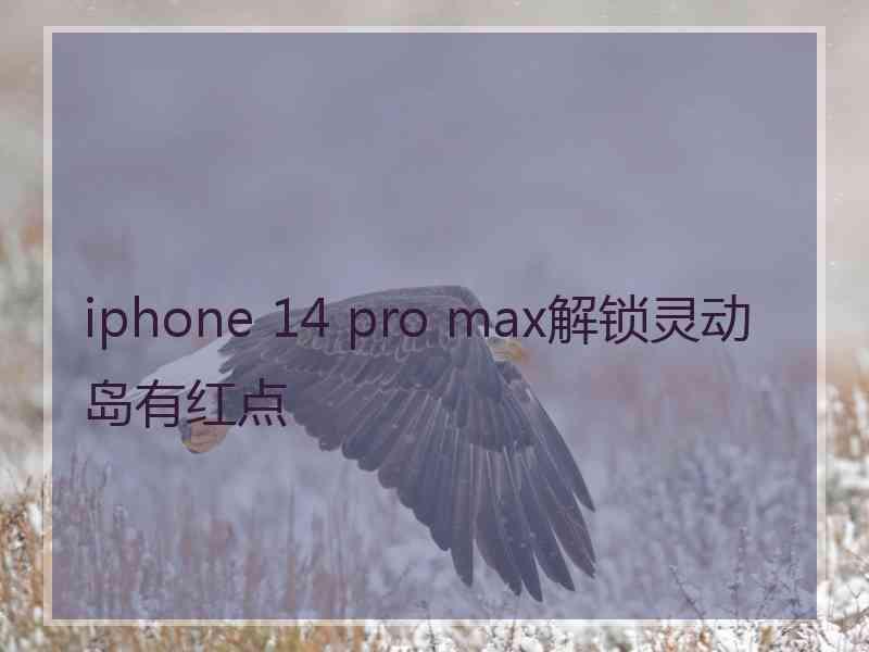 iphone 14 pro max解锁灵动岛有红点