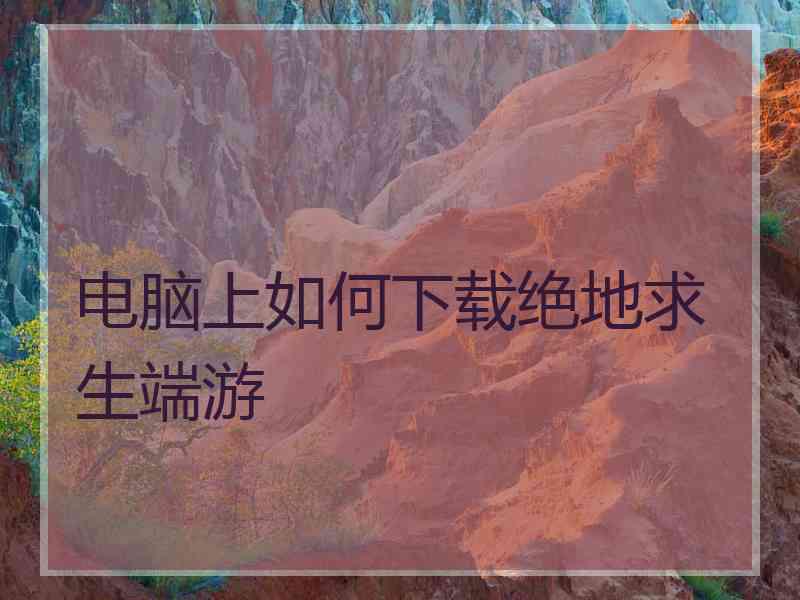 电脑上如何下载绝地求生端游