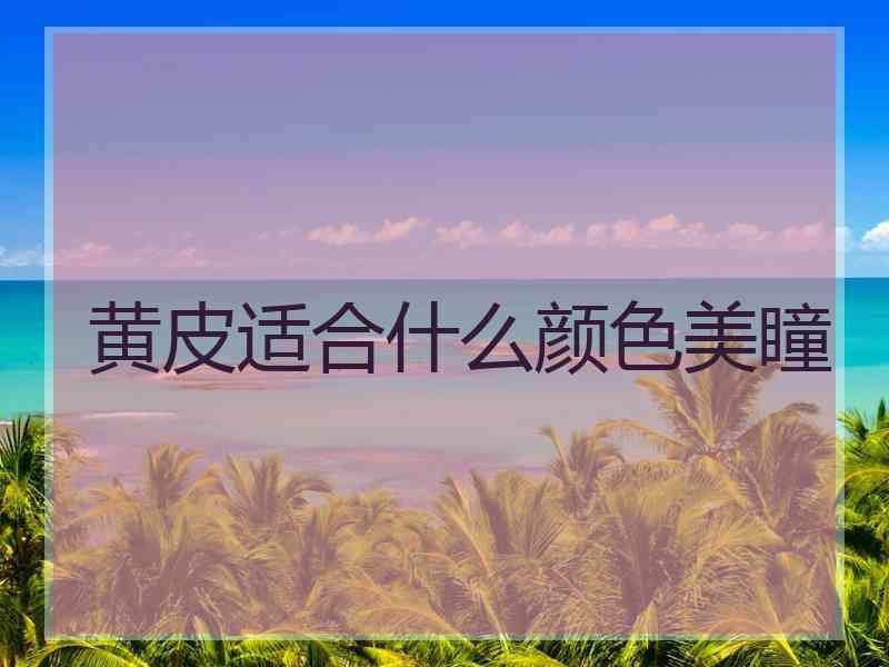 黄皮适合什么颜色美瞳