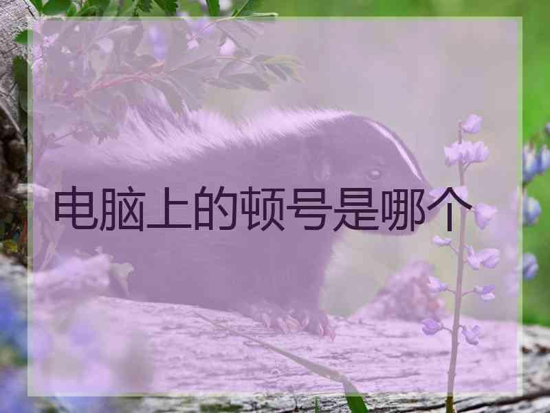 电脑上的顿号是哪个