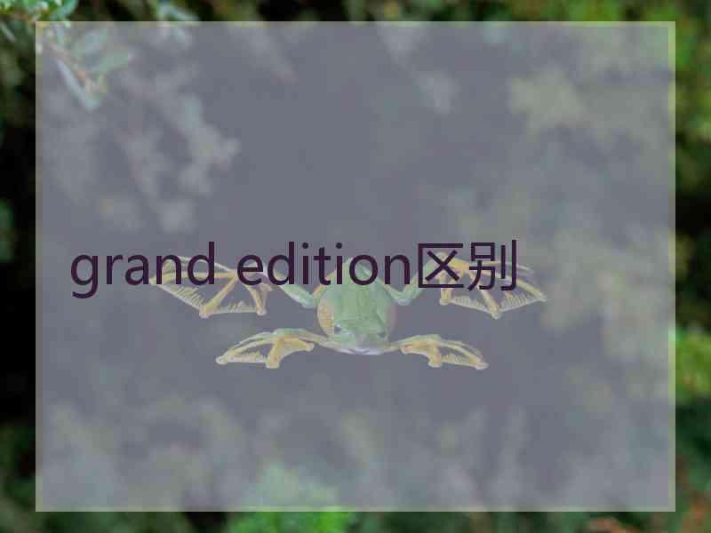 grand edition区别