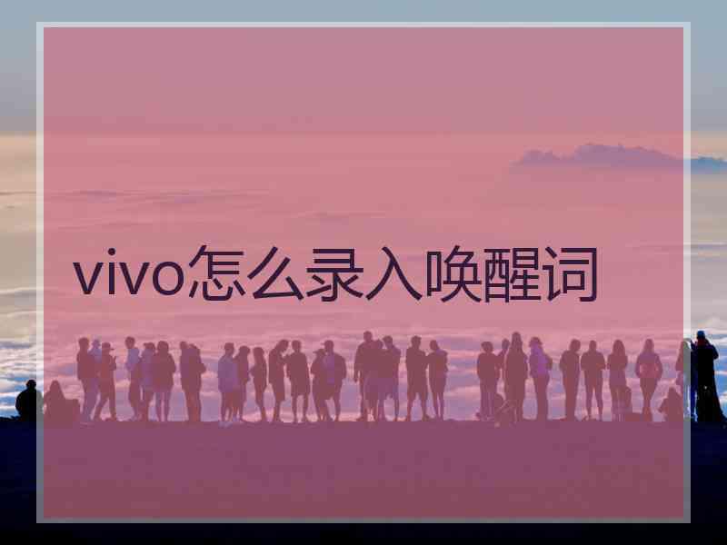 vivo怎么录入唤醒词