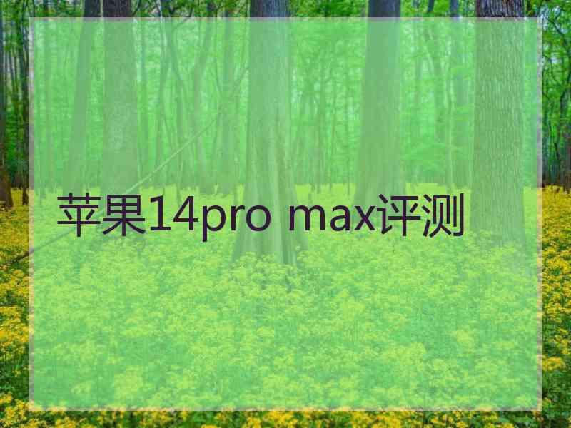 苹果14pro max评测