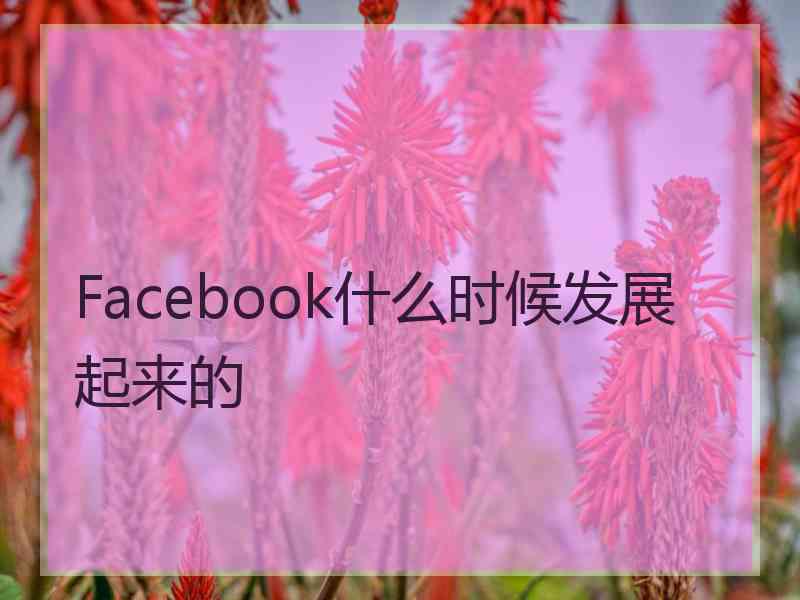 Facebook什么时候发展起来的