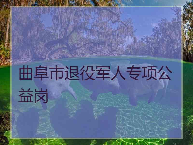 曲阜市退役军人专项公益岗