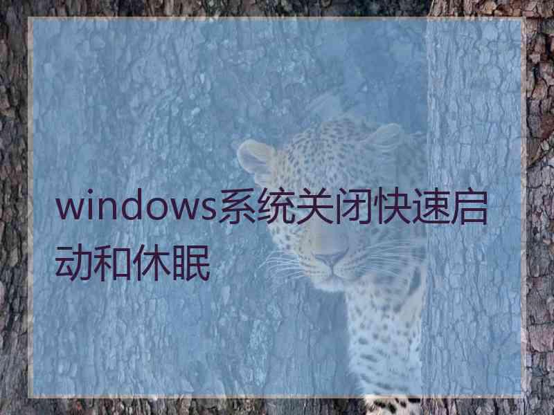 windows系统关闭快速启动和休眠