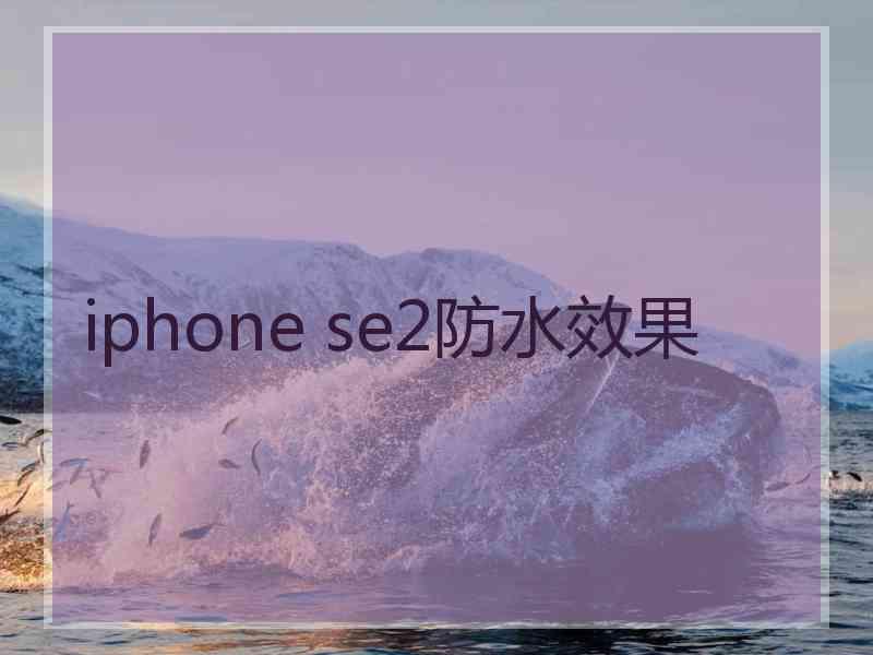 iphone se2防水效果