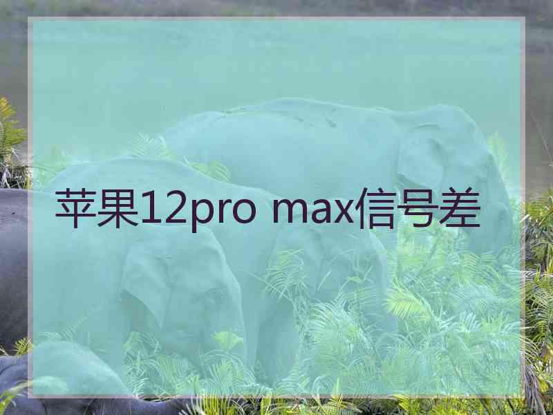 苹果12pro max信号差