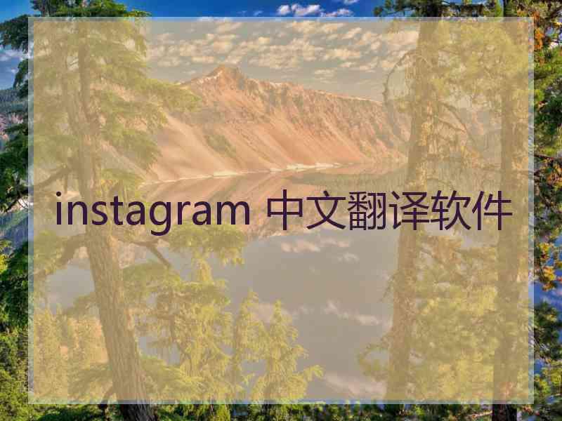 instagram 中文翻译软件
