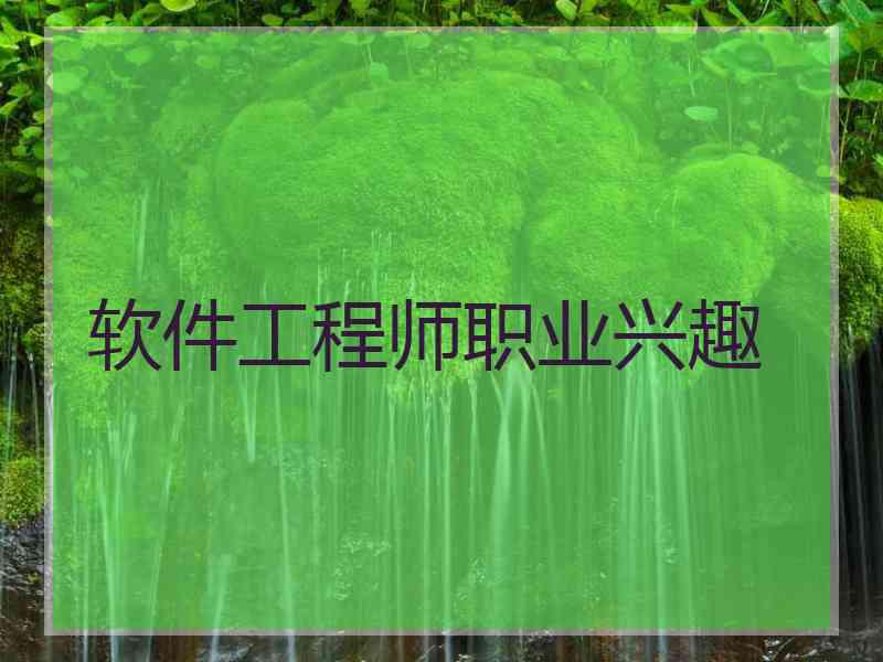 软件工程师职业兴趣