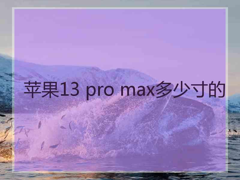 苹果13 pro max多少寸的