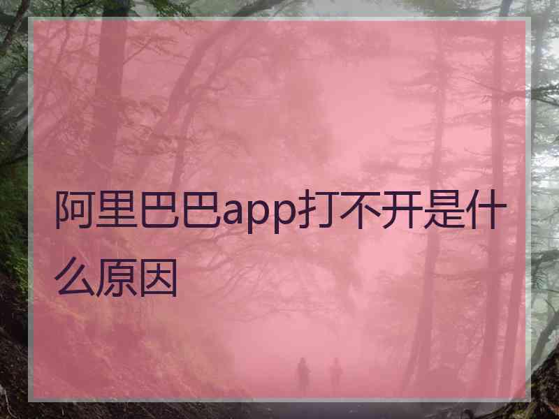 阿里巴巴app打不开是什么原因