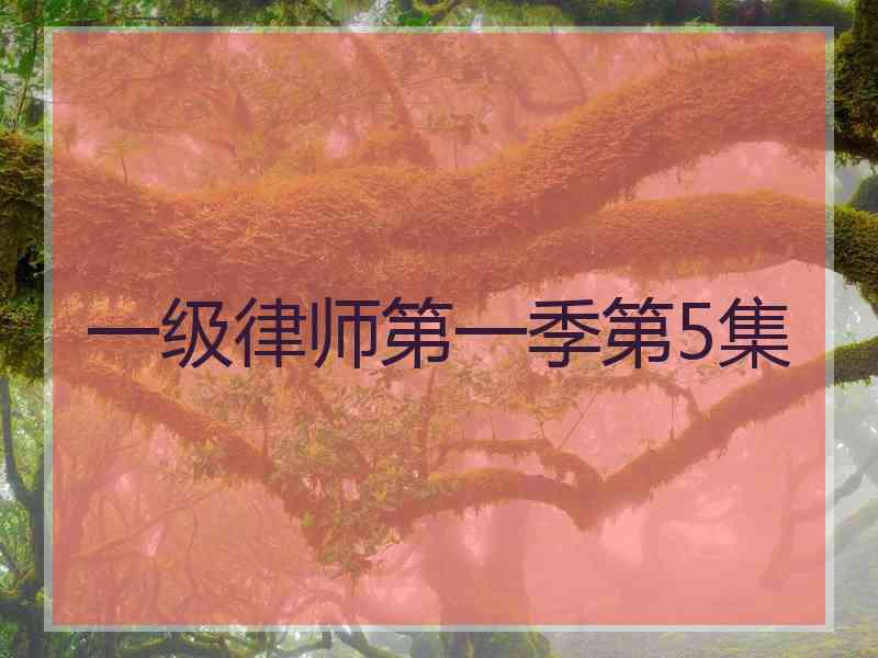 一级律师第一季第5集