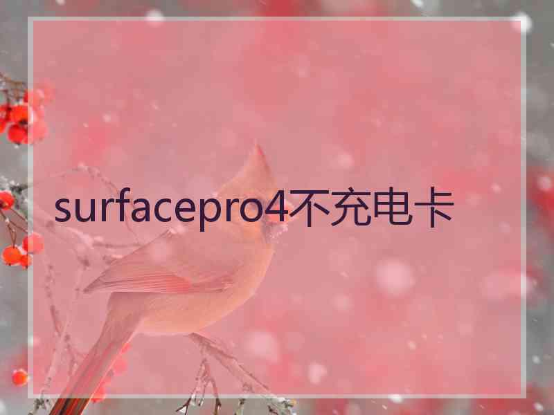 surfacepro4不充电卡