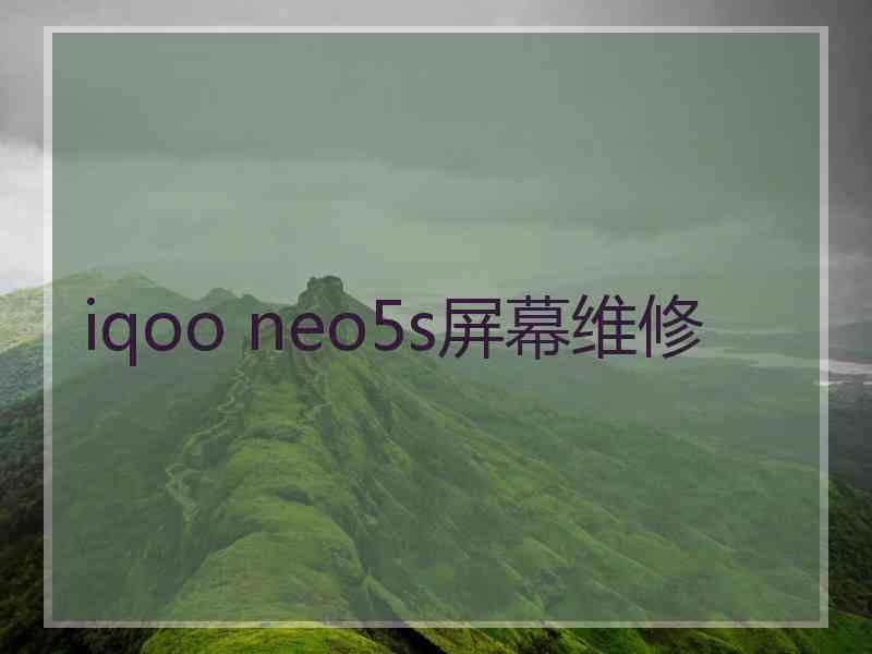 iqoo neo5s屏幕维修