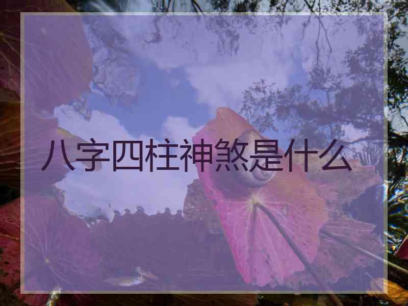 八字四柱神煞是什么