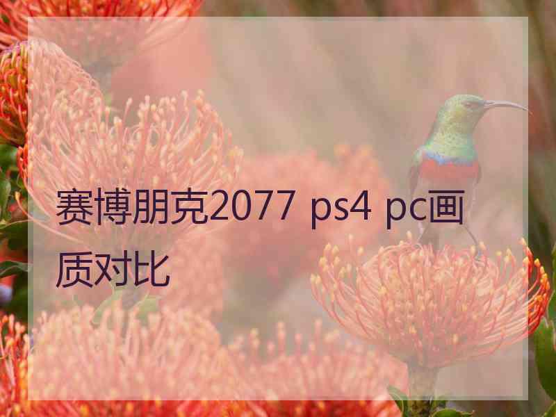 赛博朋克2077 ps4 pc画质对比