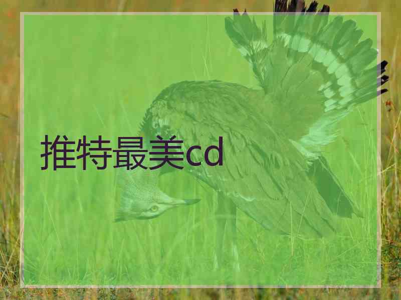 推特最美cd