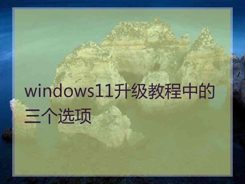 windows11升级教程中的三个选项