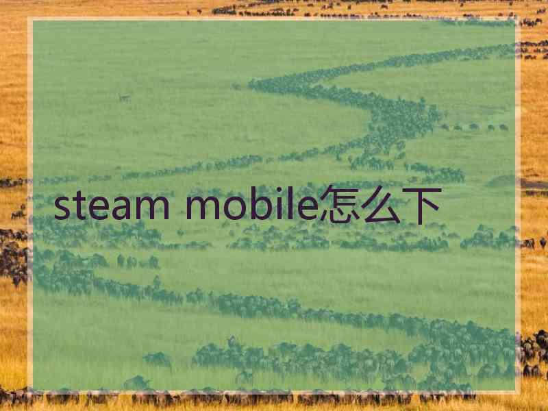 steam mobile怎么下