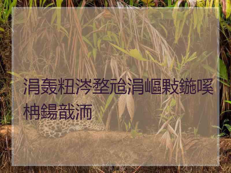 涓轰粈涔堥兘涓嶇敤鍦嗘柟鍚戠洏