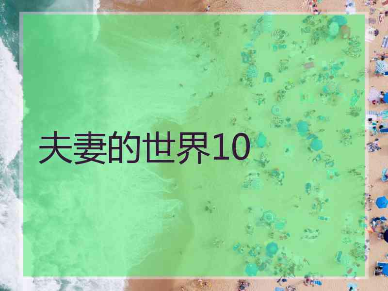 夫妻的世界10