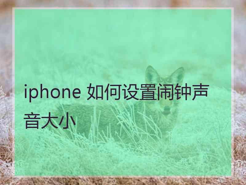 iphone 如何设置闹钟声音大小