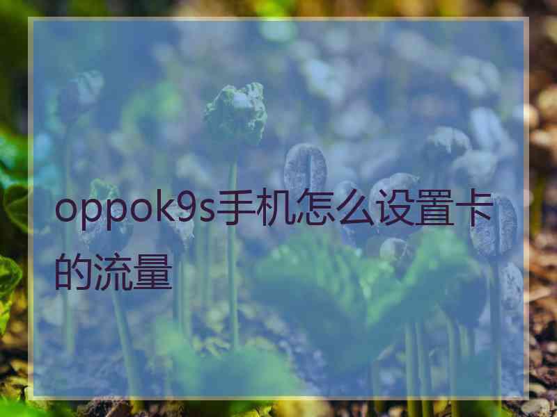 oppok9s手机怎么设置卡的流量