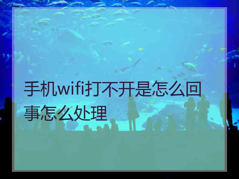 手机wifi打不开是怎么回事怎么处理