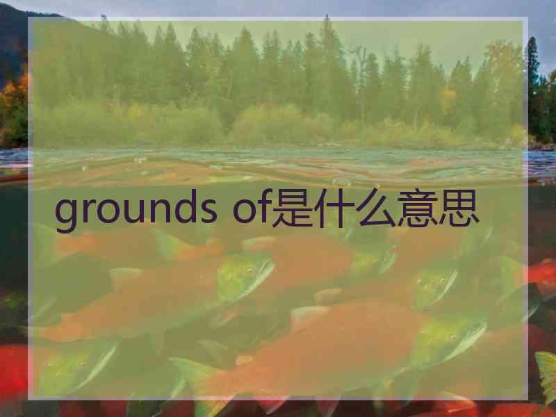 grounds of是什么意思