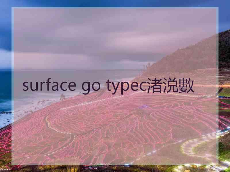 surface go typec渚涚數