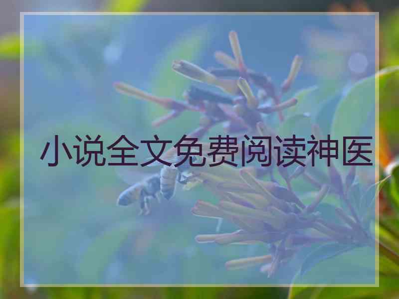 小说全文免费阅读神医