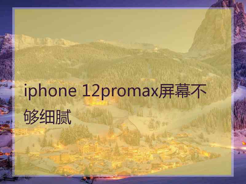 iphone 12promax屏幕不够细腻