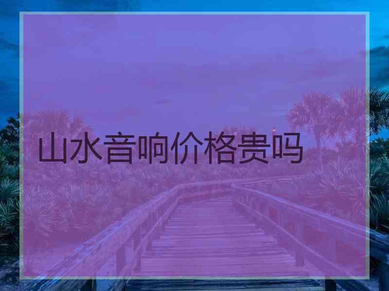 山水音响价格贵吗