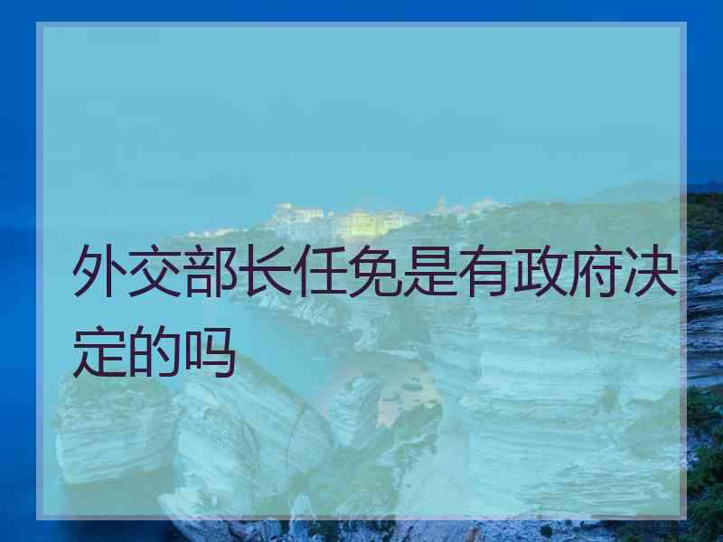 外交部长任免是有政府决定的吗