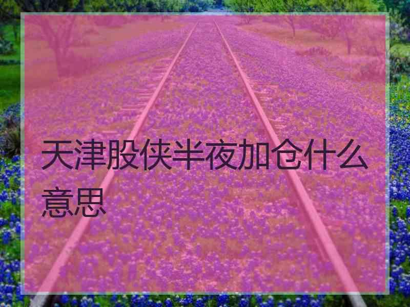 天津股侠半夜加仓什么意思