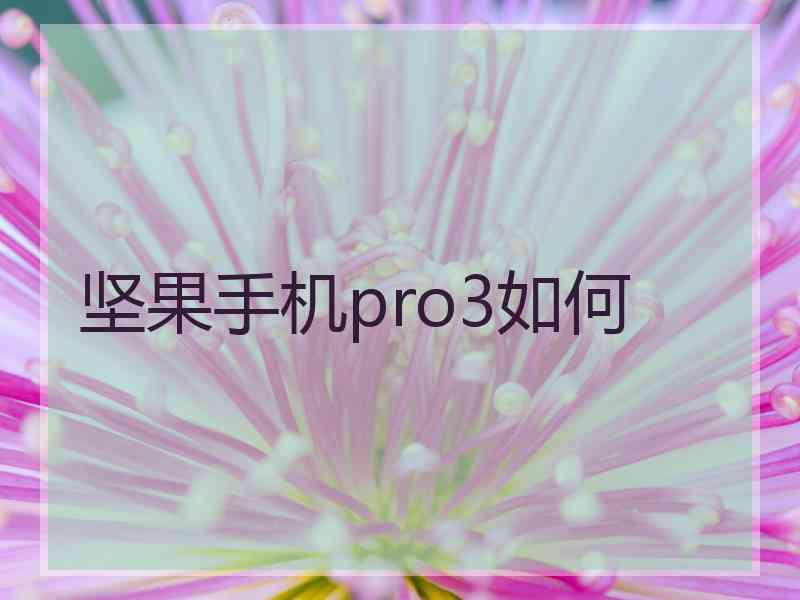 坚果手机pro3如何