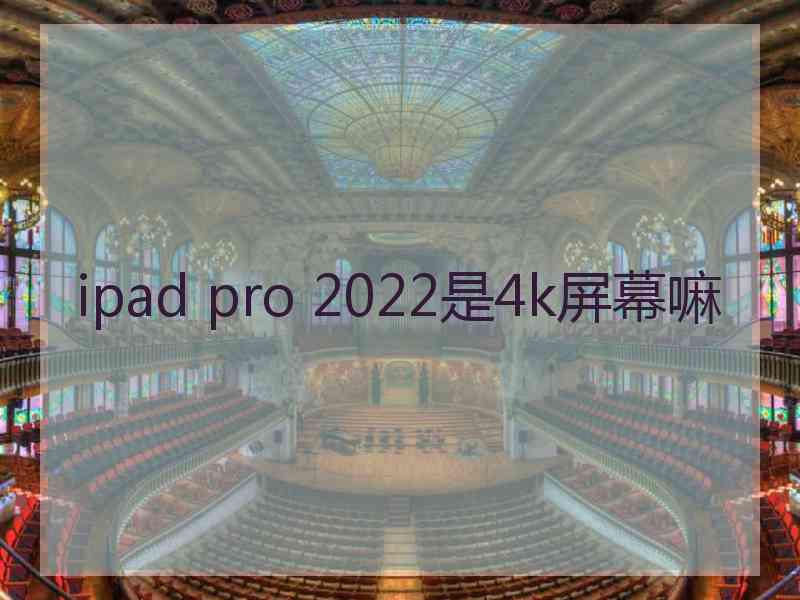 ipad pro 2022是4k屏幕嘛