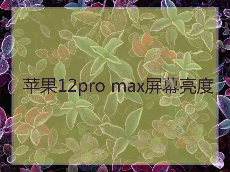 苹果12pro max屏幕亮度