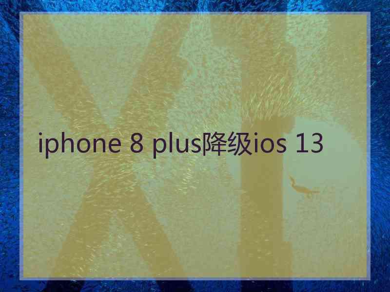 iphone 8 plus降级ios 13