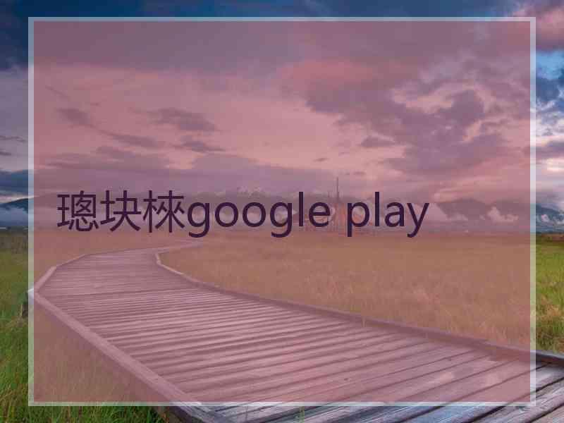 璁块棶google play