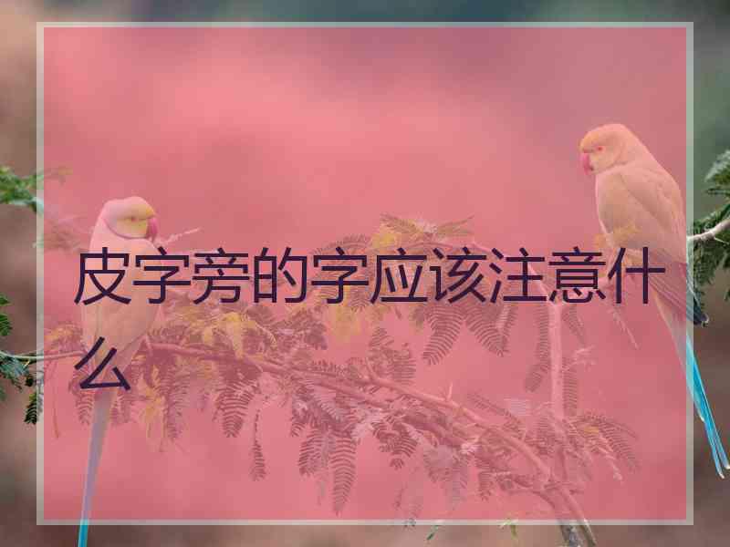 皮字旁的字应该注意什么