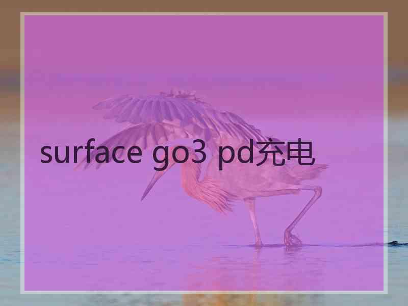 surface go3 pd充电