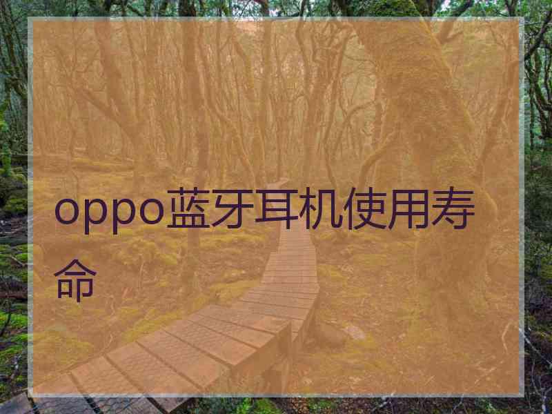 oppo蓝牙耳机使用寿命